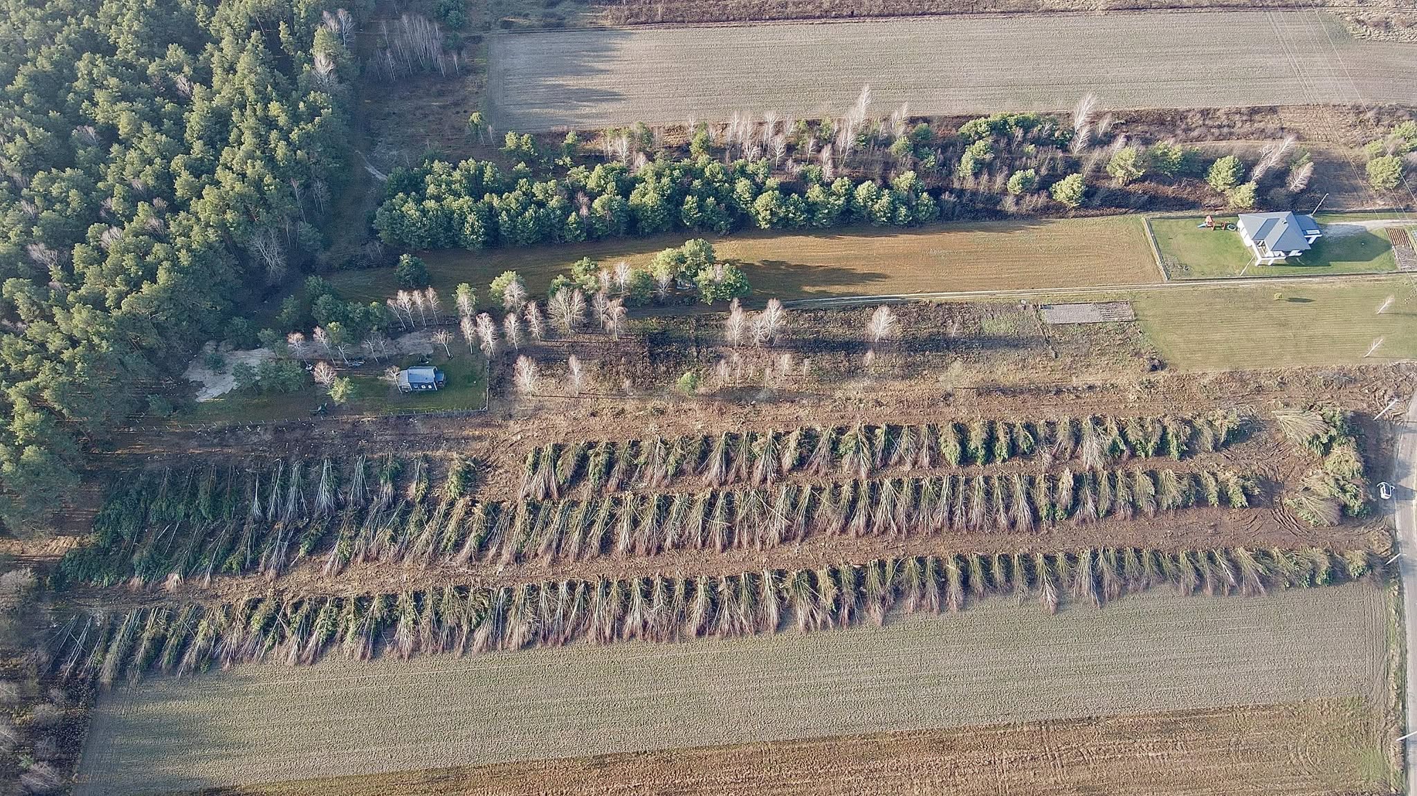 Oryginalne zdjęcie terenu z góry z profilu Mulczer Wycinki